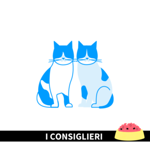 I Consiglieri